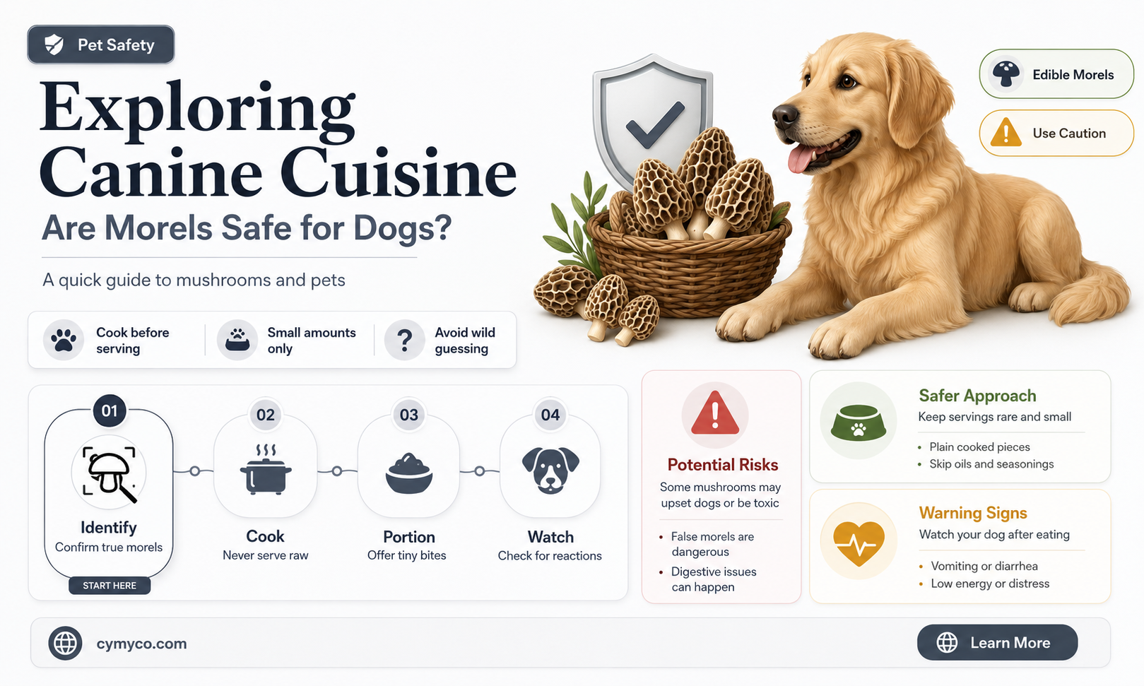 can dogs eat morels