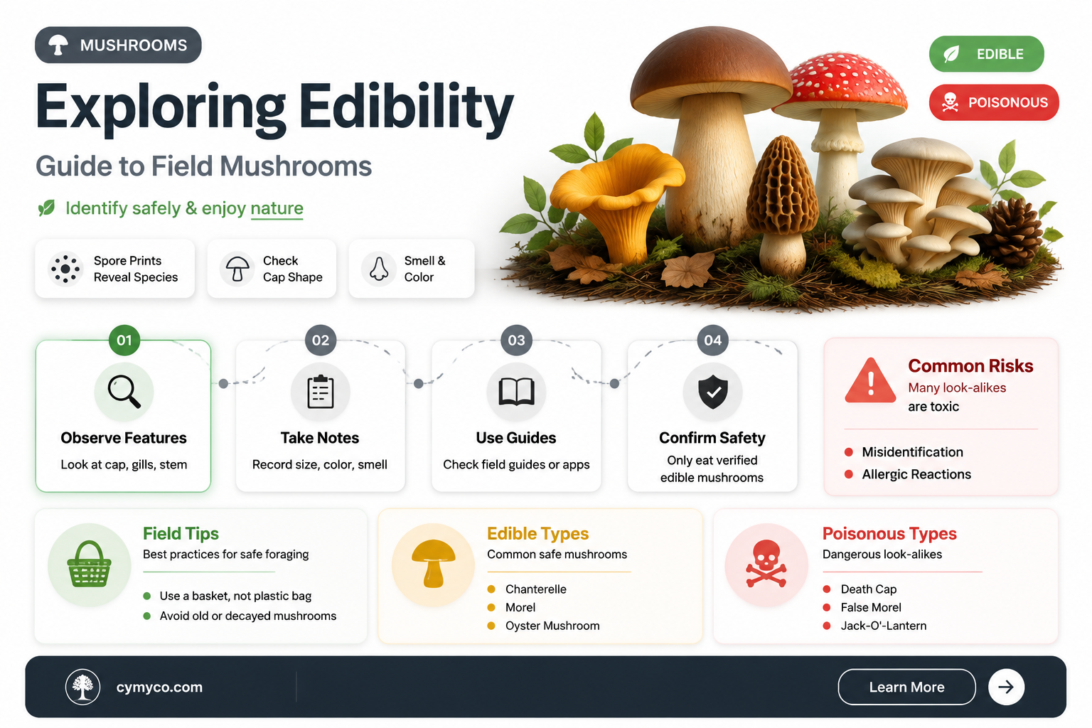 are field mushrooms safe to eat