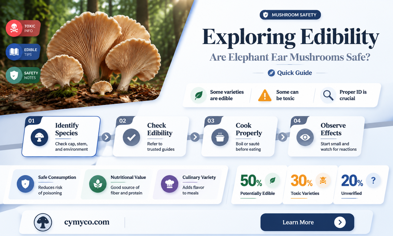 are elephant ear mushrooms safe to eat