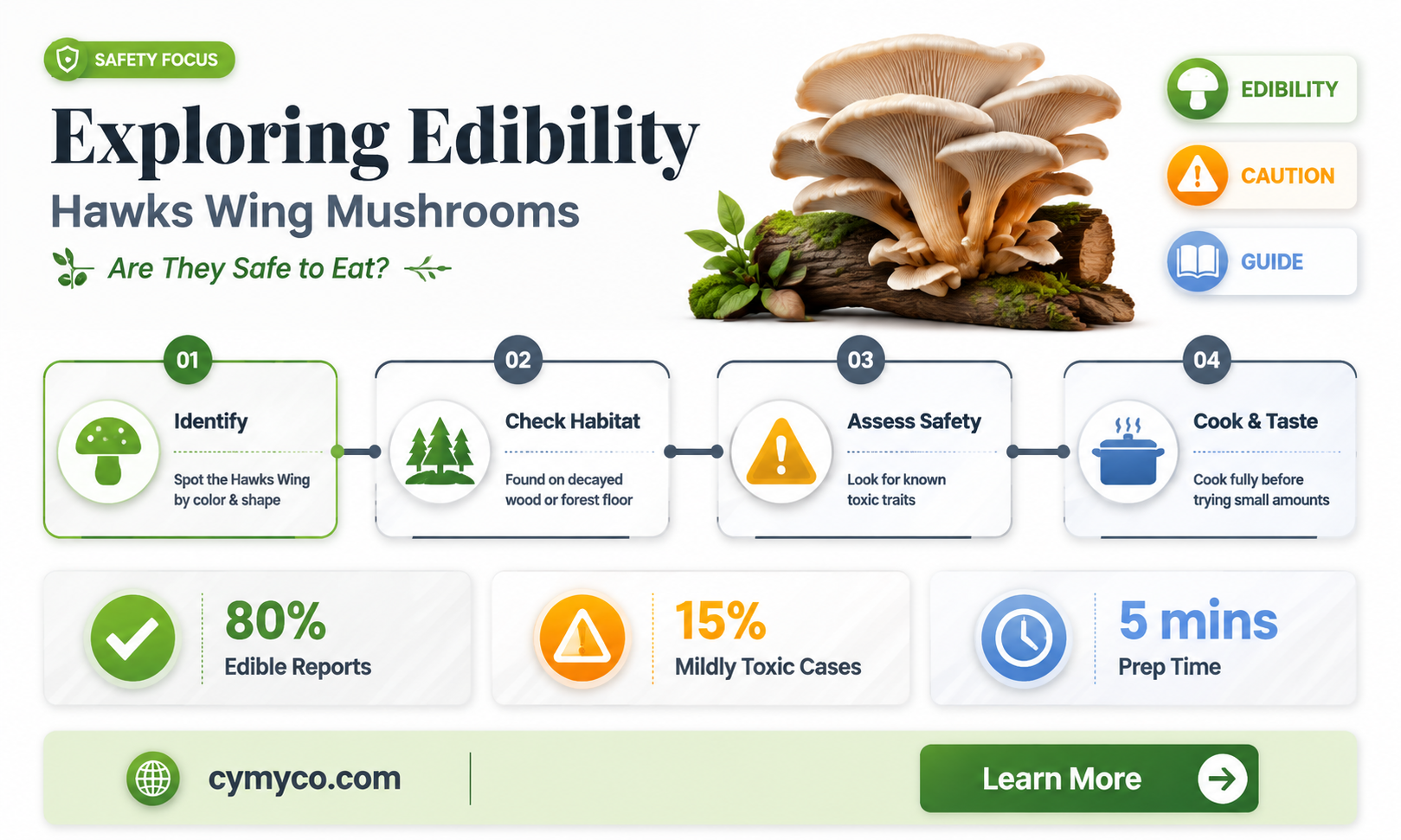are hawks wing mushrooms safe to eat