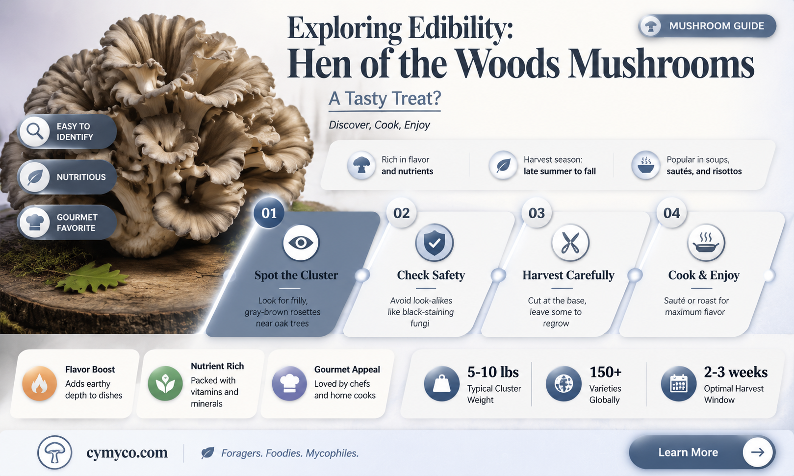 are hen of the woods mushrooms good to eat
