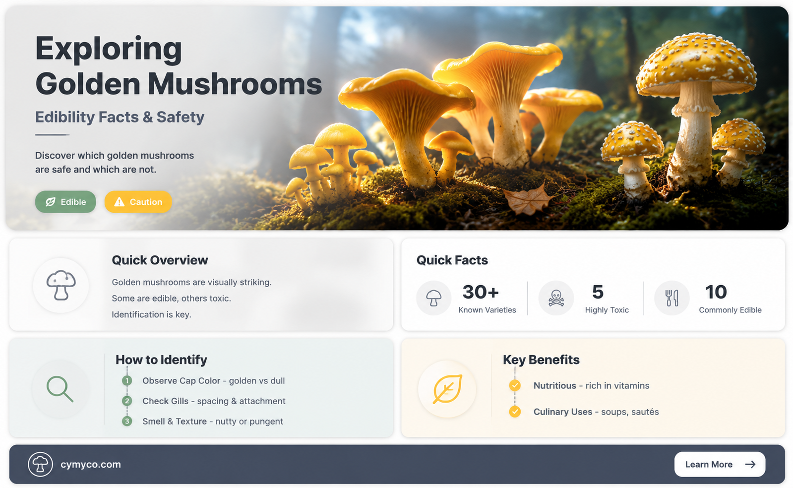 are golden mushrooms edible