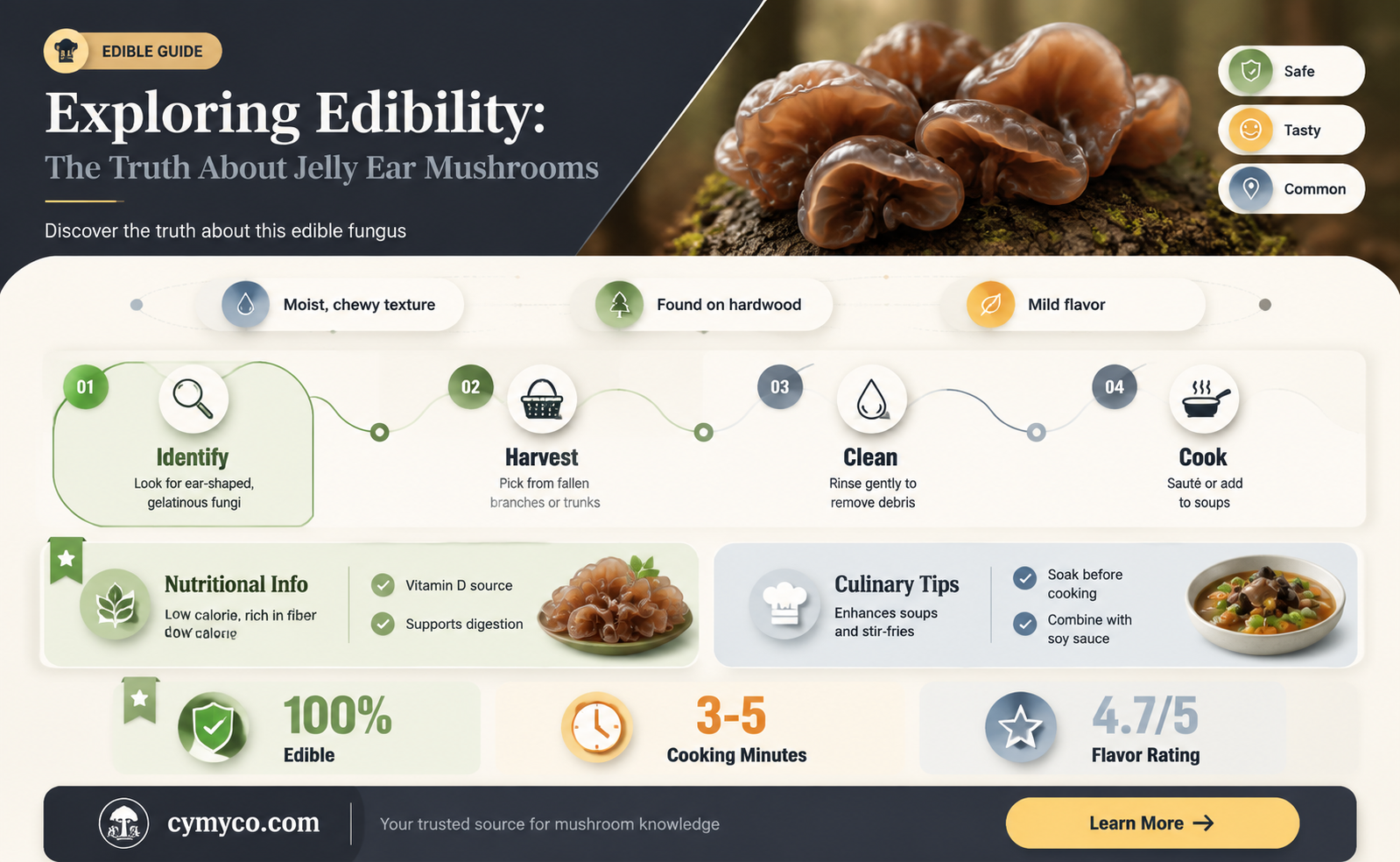 are jelly ear mushrooms edible