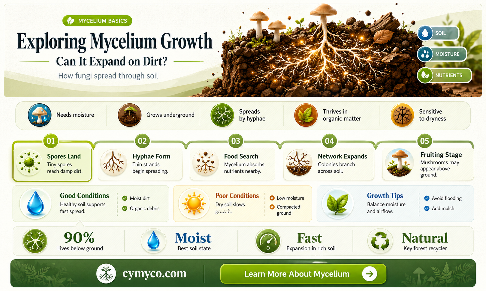 can mycelium expand on dirt