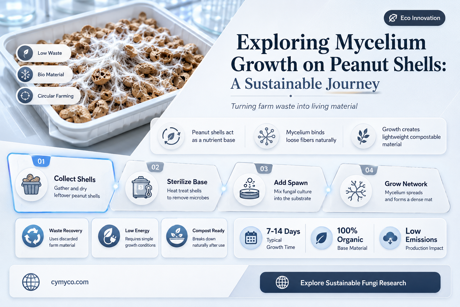 can mycelium grow on peanut shells