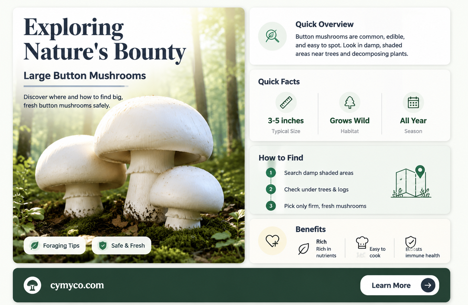 where to find large button mushrooms