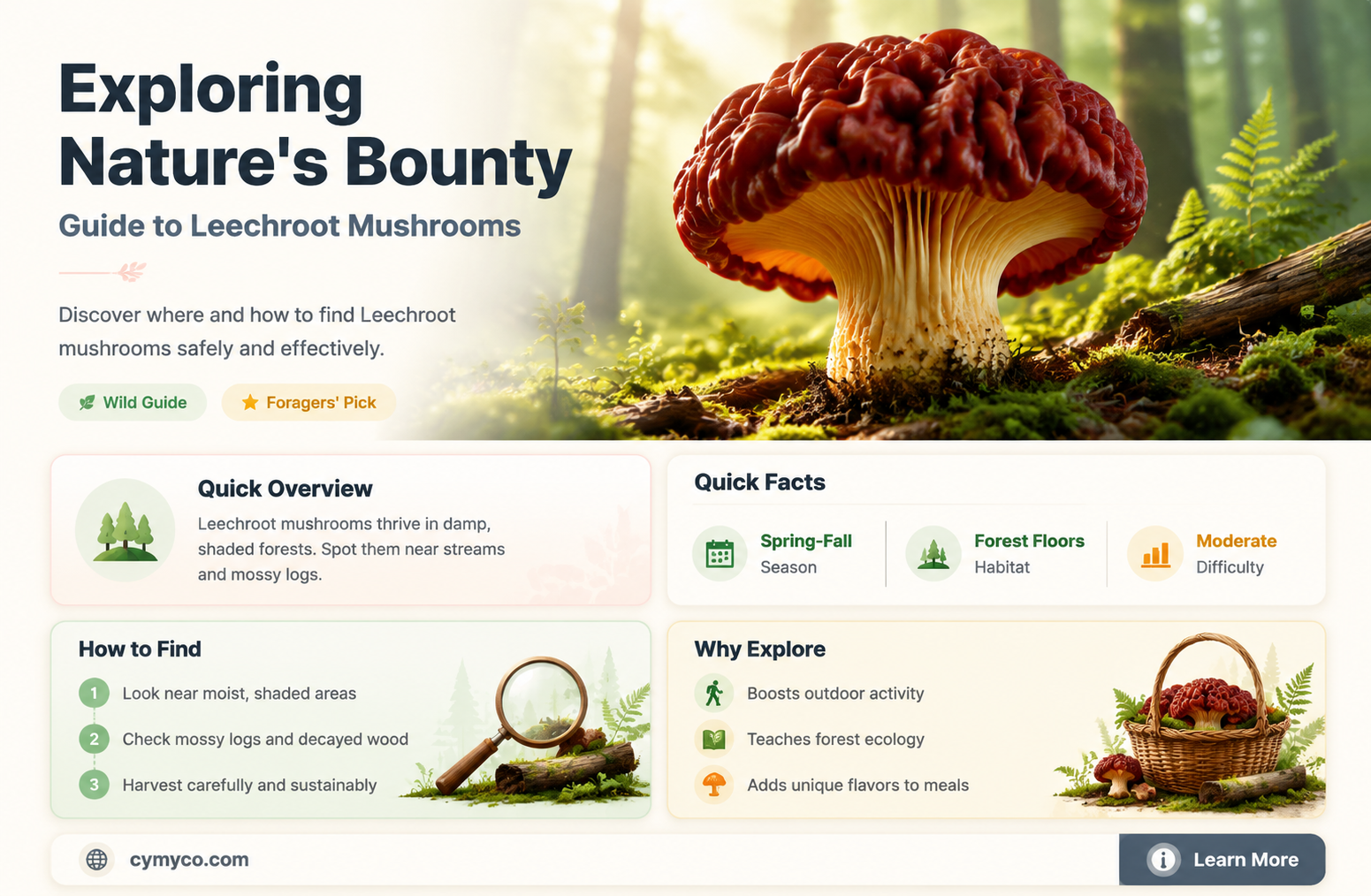 where to find leechroot mushrooms