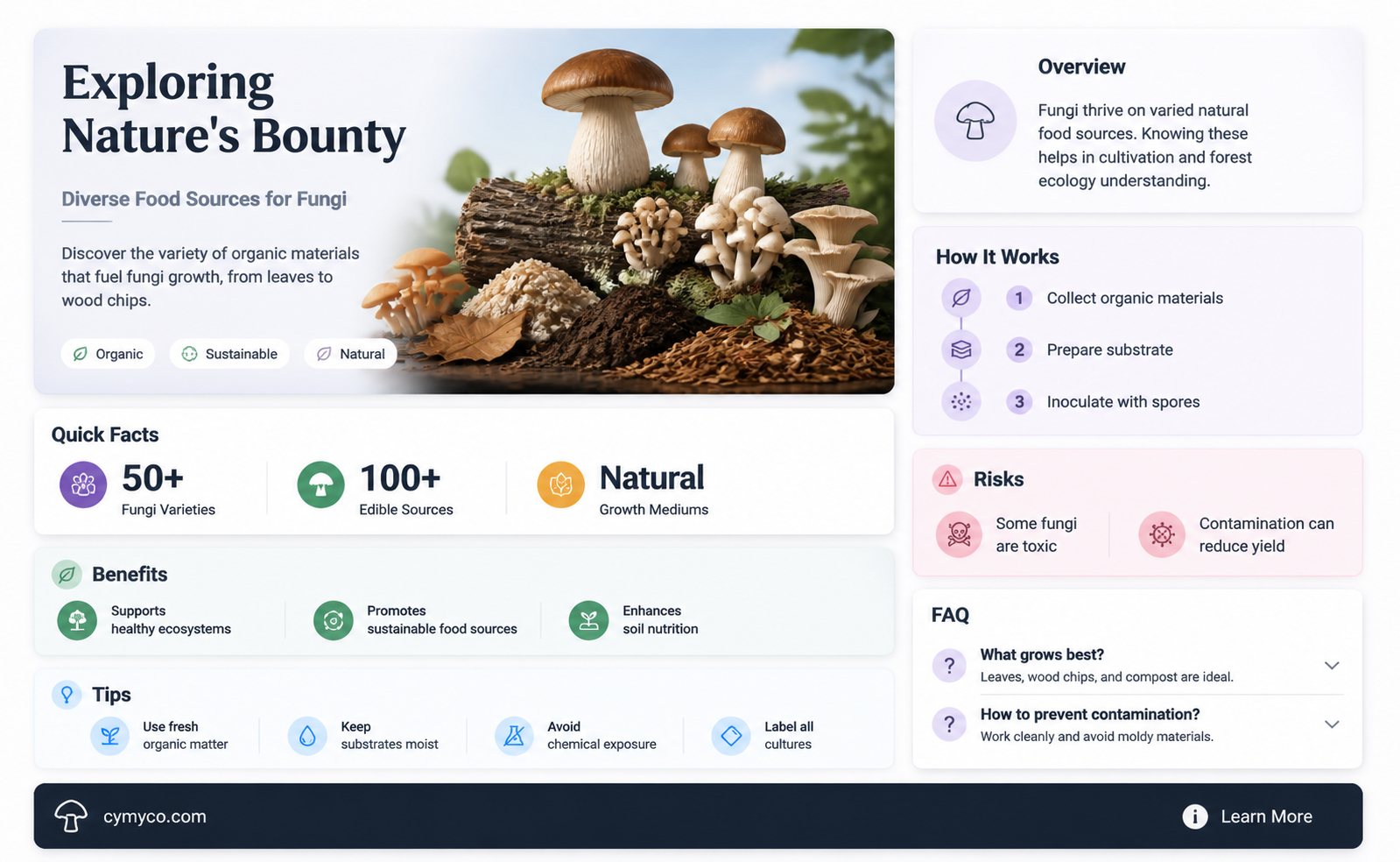which material can serve as a food source for fungi