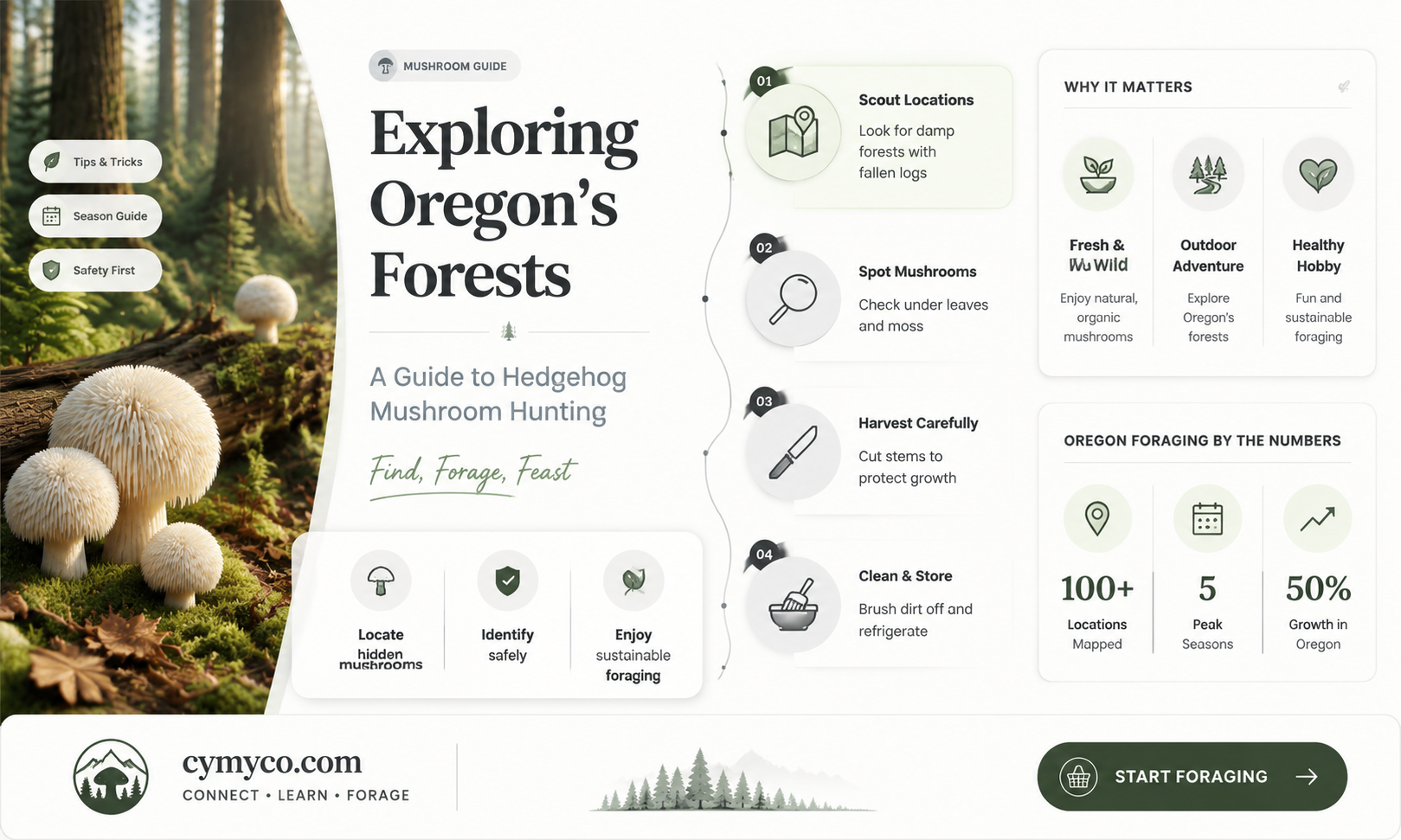 where to find hedgehog mushrooms in oregon