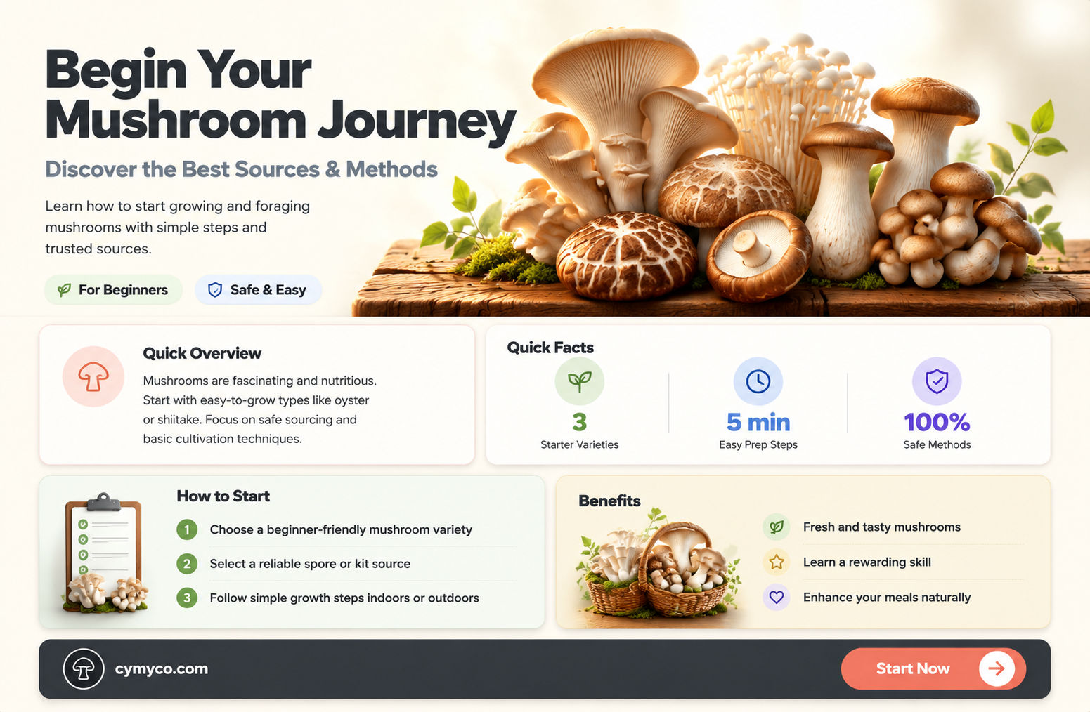 where to buy and start mushrooms