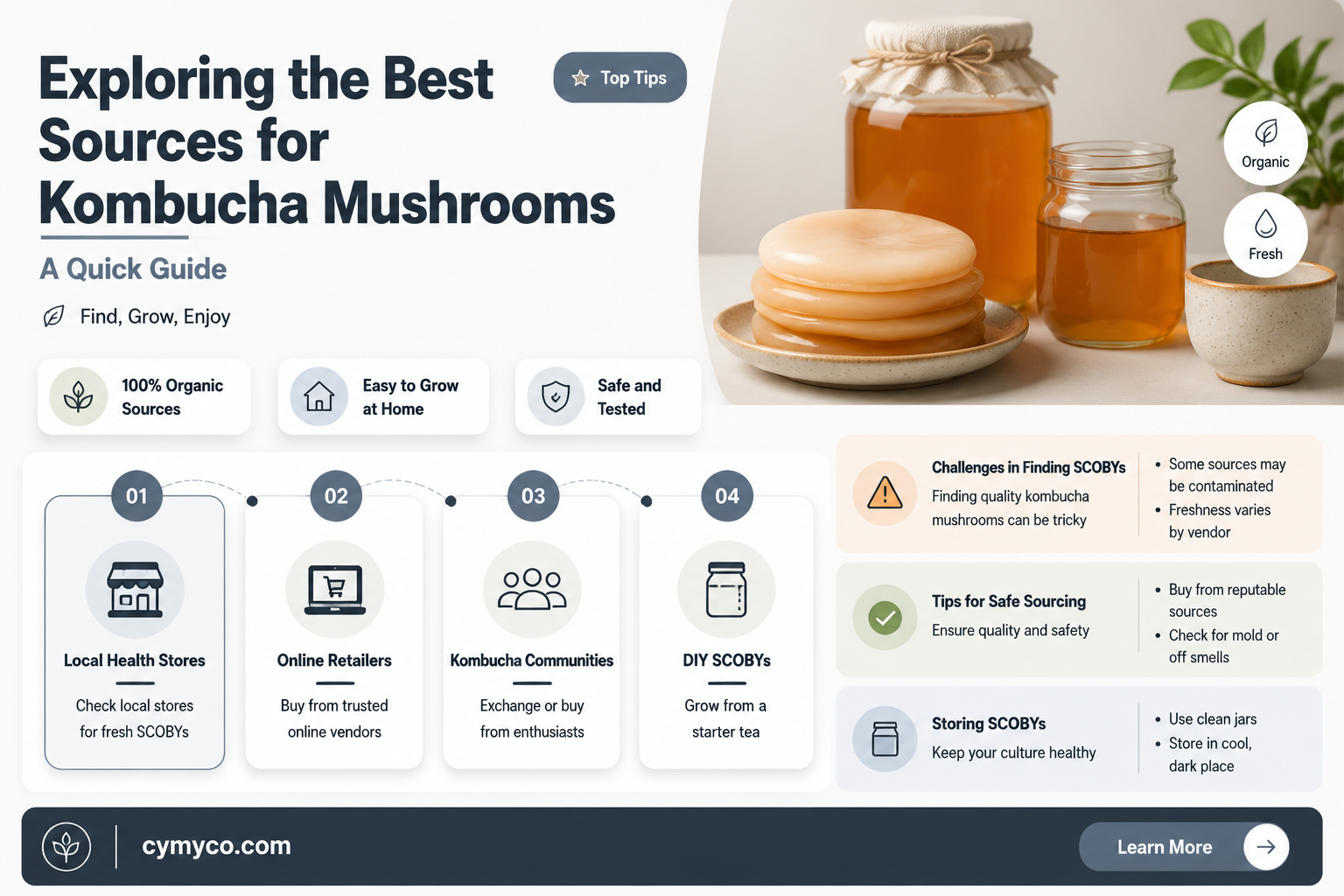 where to find kombucha mushroom