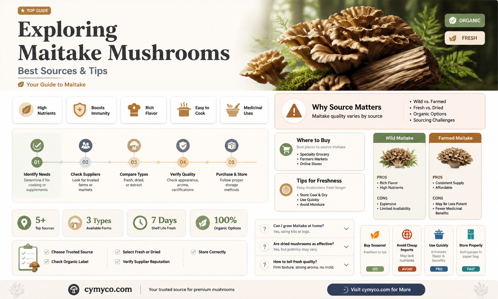 where do you buy maitake mushrooms