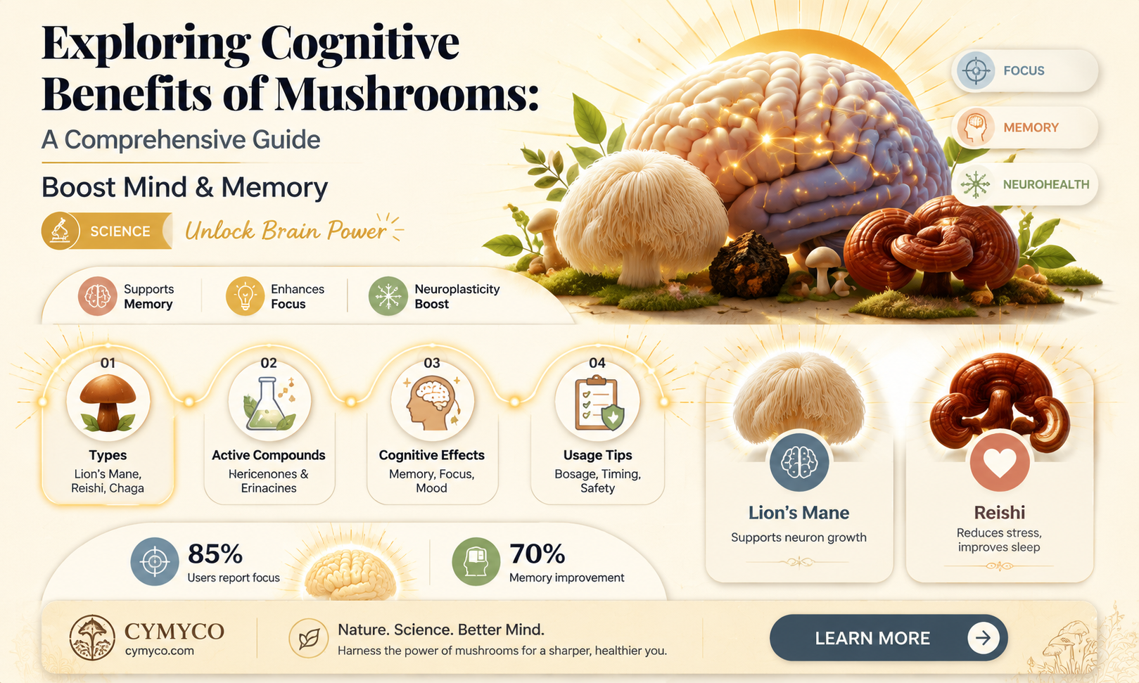 are mushrooms good for your brain