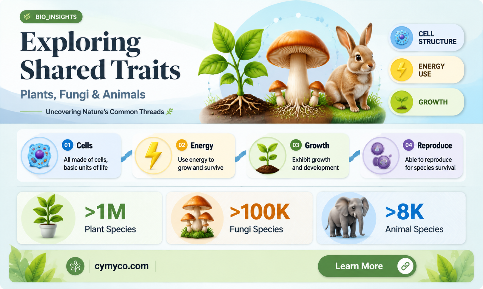 which characteristic below is shared by plants fungi and animals