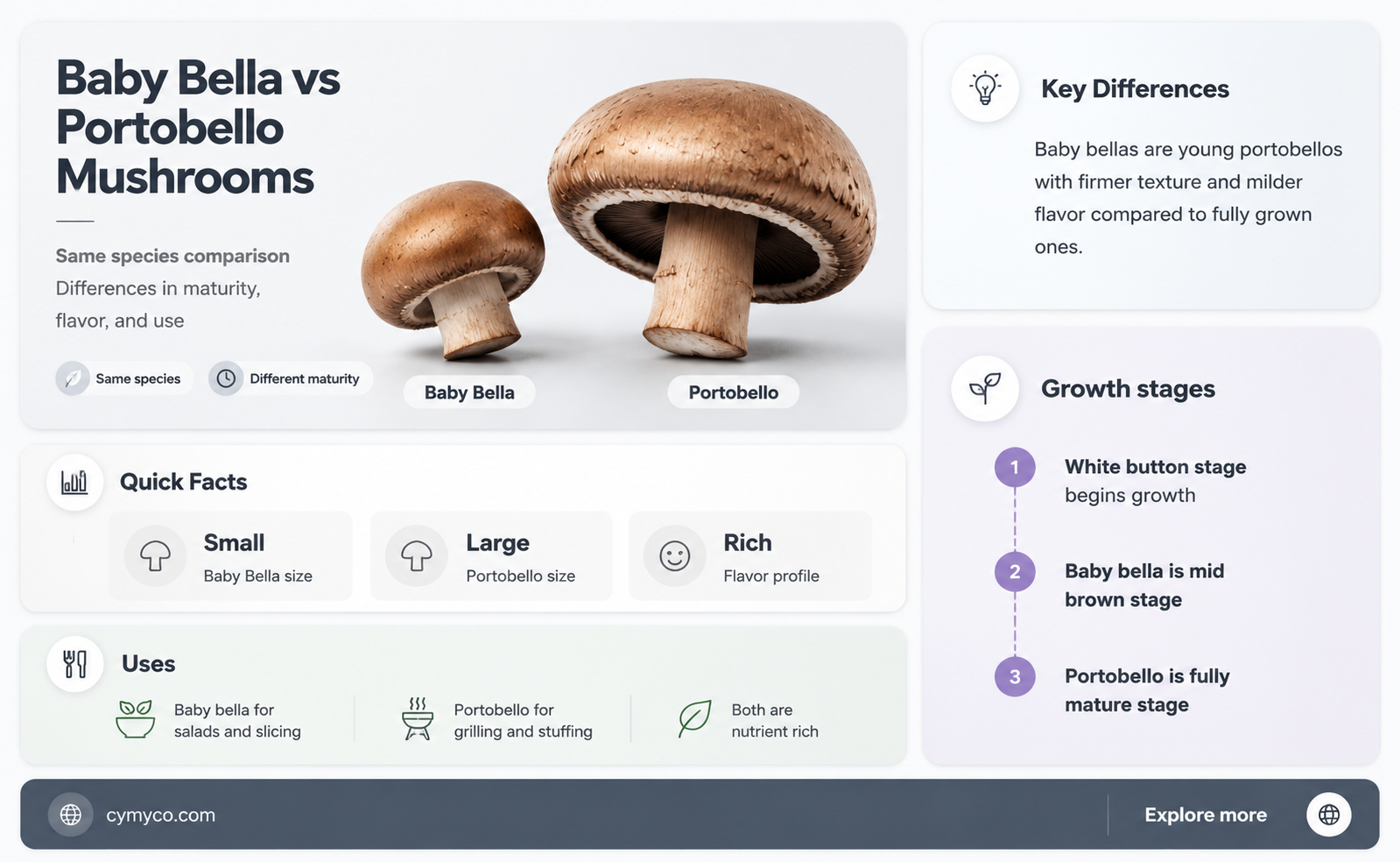 is baby bella mushrooms the same as portobello mushrooms