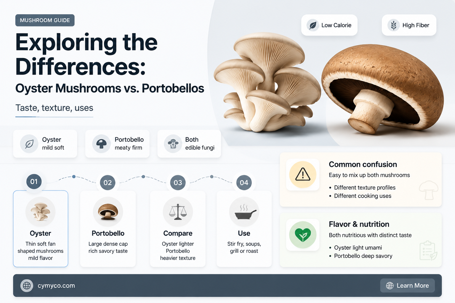 is an oyster mushroom defferent thant portobello