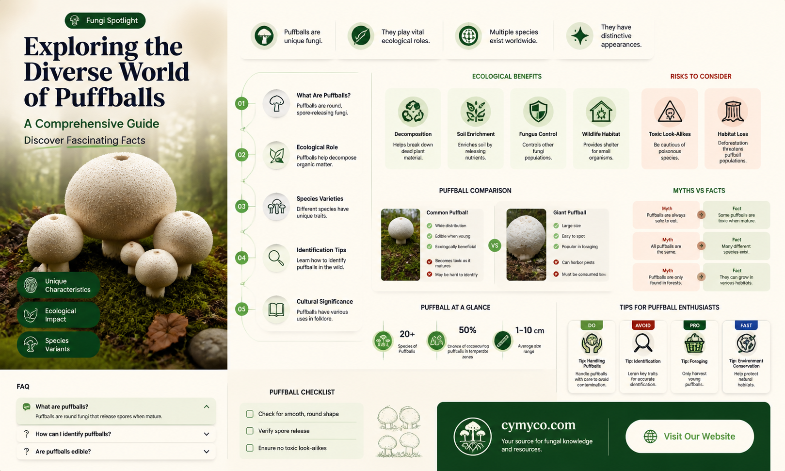 how many kinds of puffballs are there