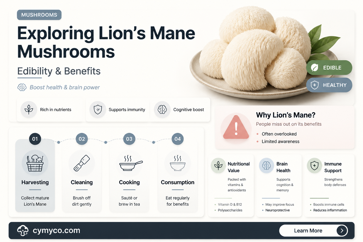 are lion