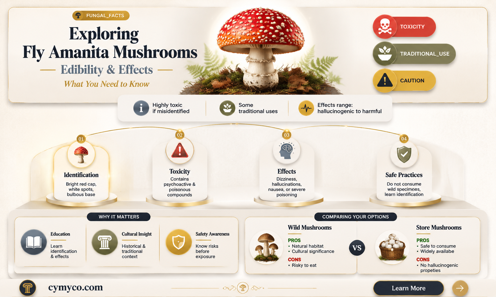 are fly amanita good