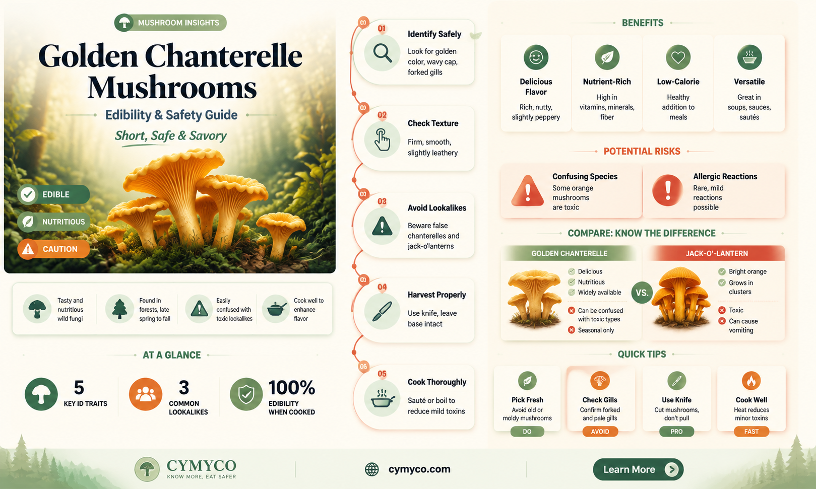 are golden chanterelle mushrooms poisonous
