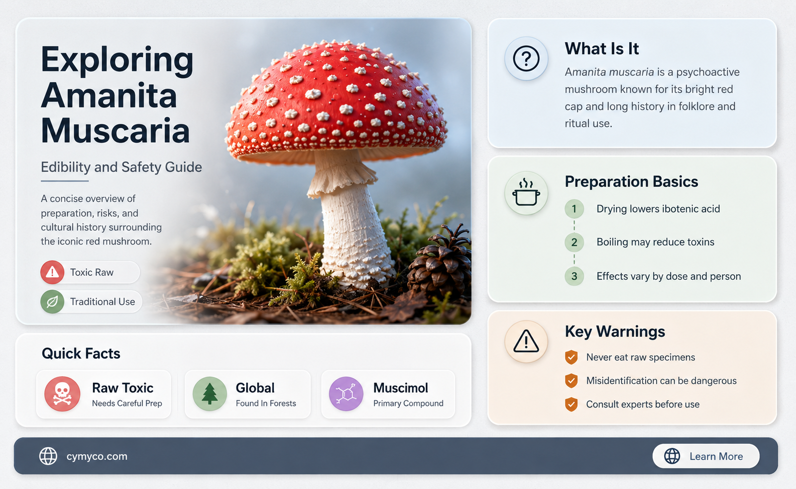 can amanita muscaria be eaten