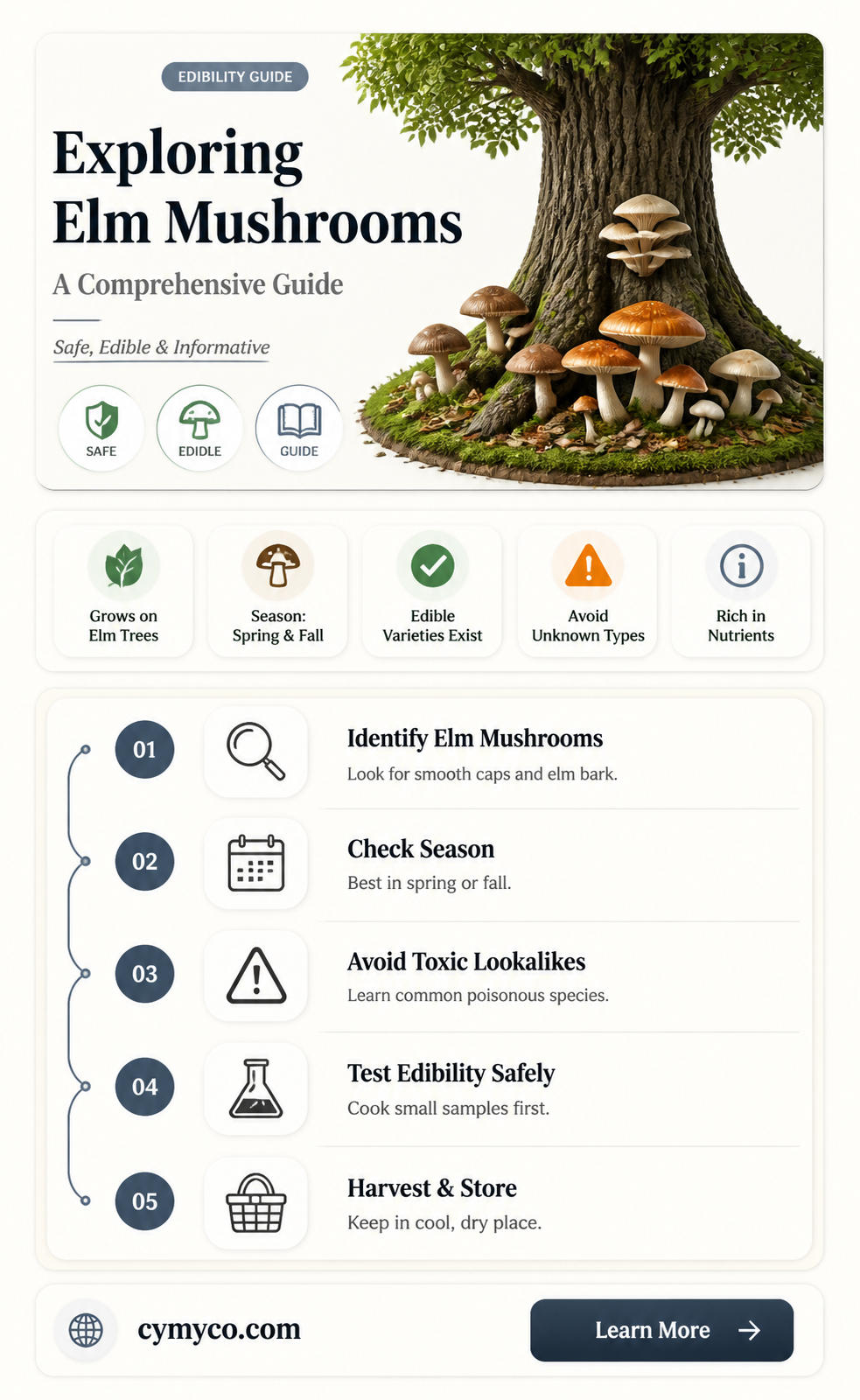 are elm mushrooms edible