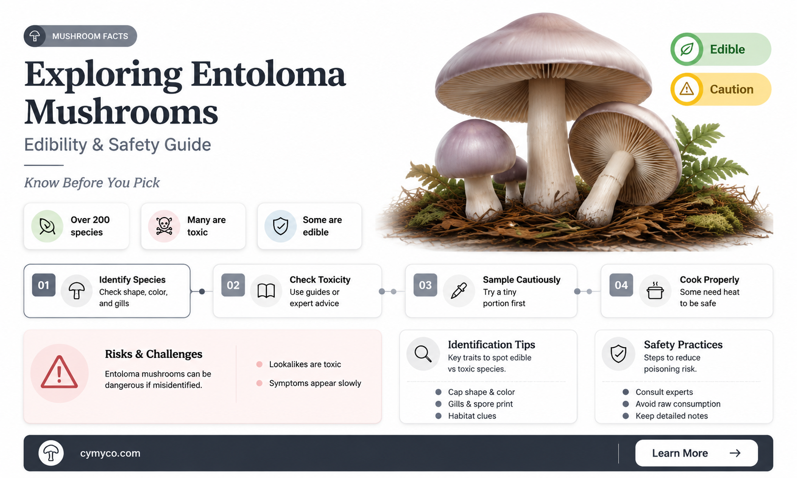 are entoloma mushrooms edible
