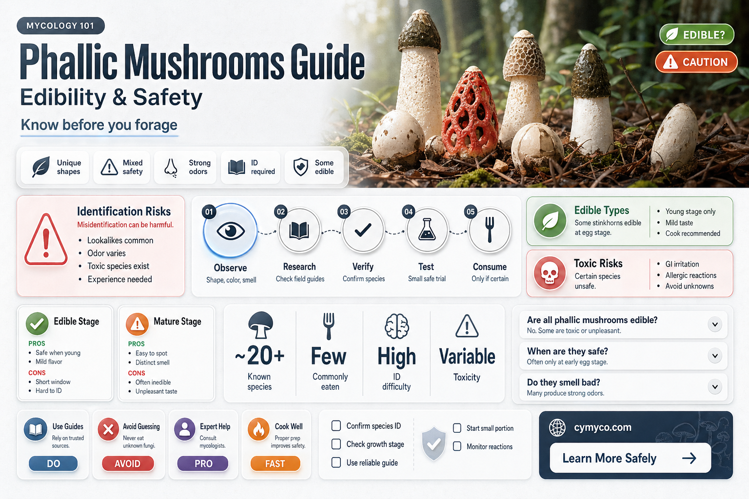 are fallic mushrooms poisonous