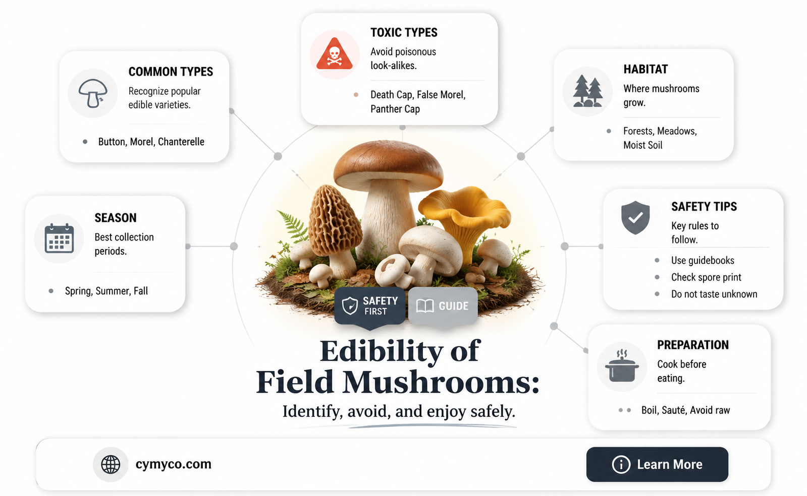 are field mushrooms edible