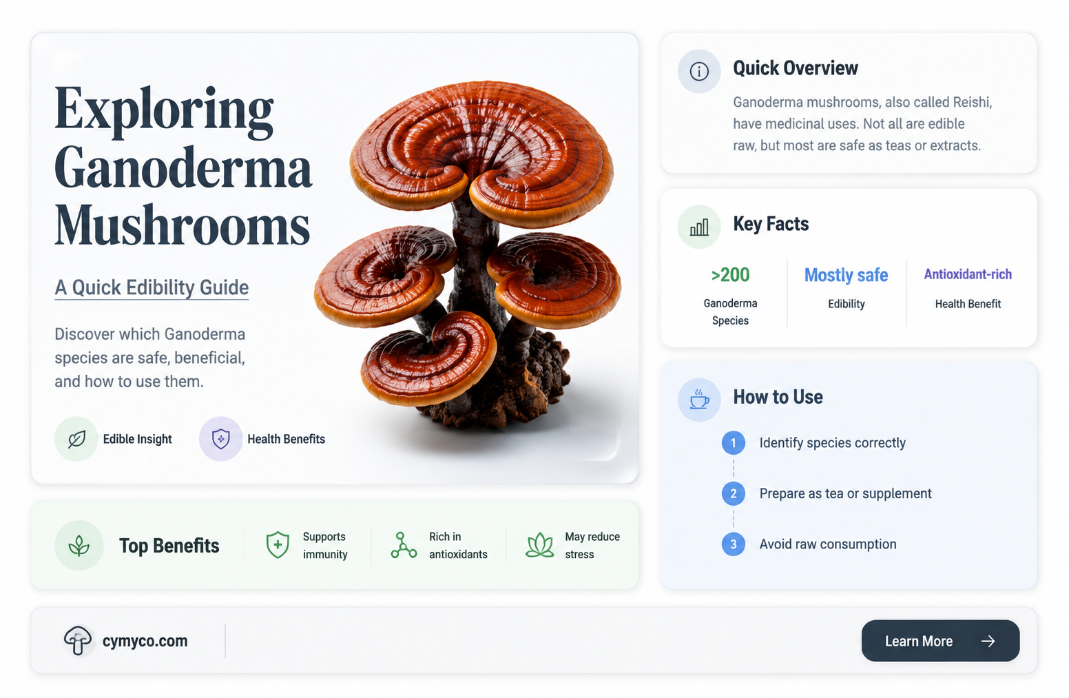 are ganoderma mushrooms edible