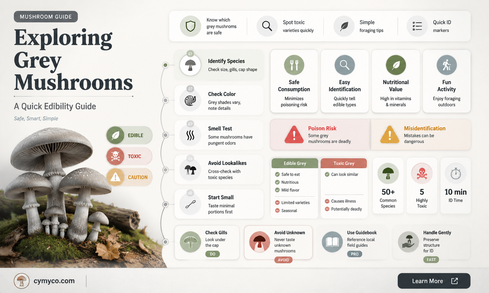 are grey mushrooms poisonous