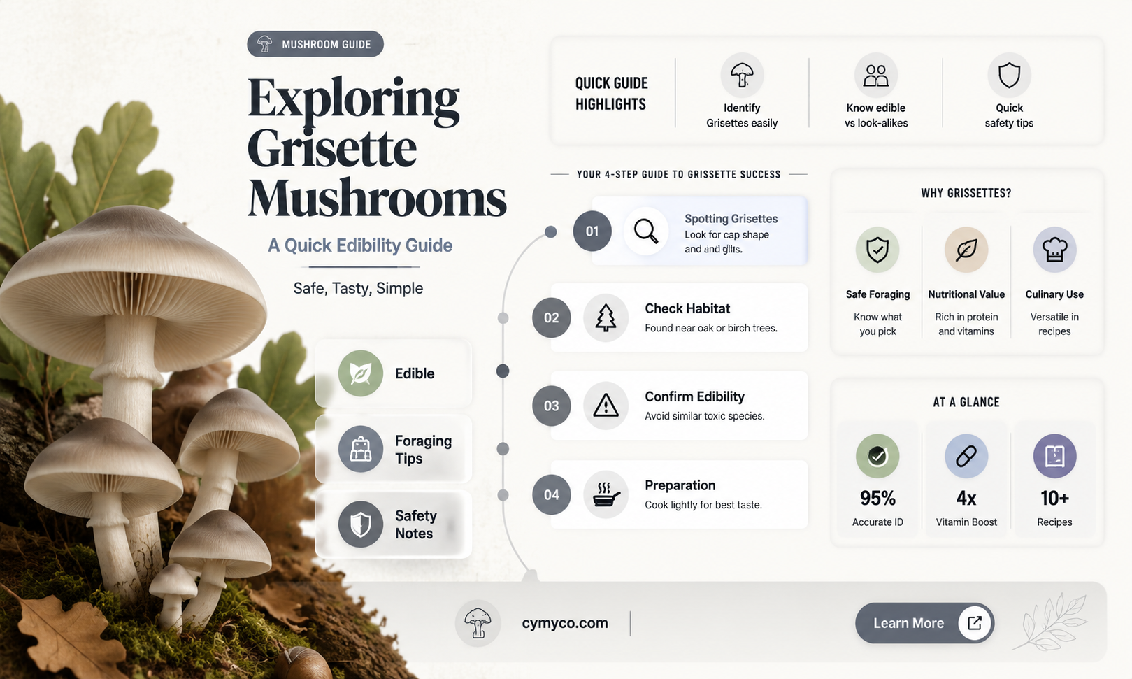 are grisette mushrooms edible