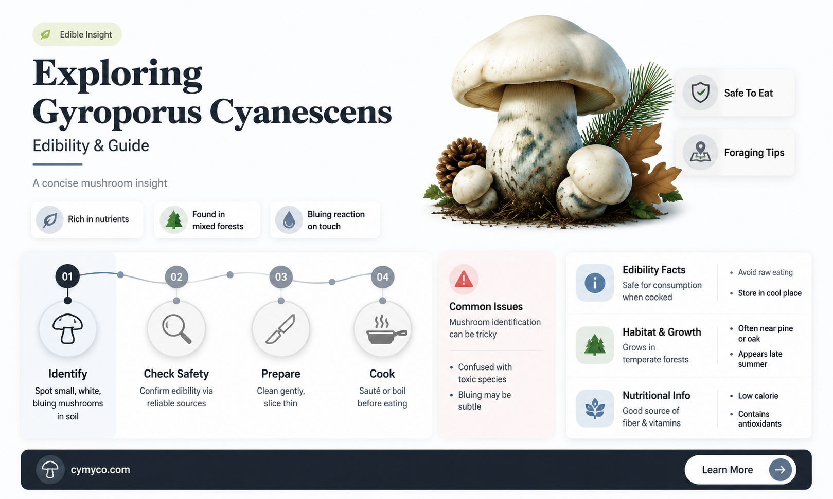 are gyroporus cyanescens mushroom mushroom edible