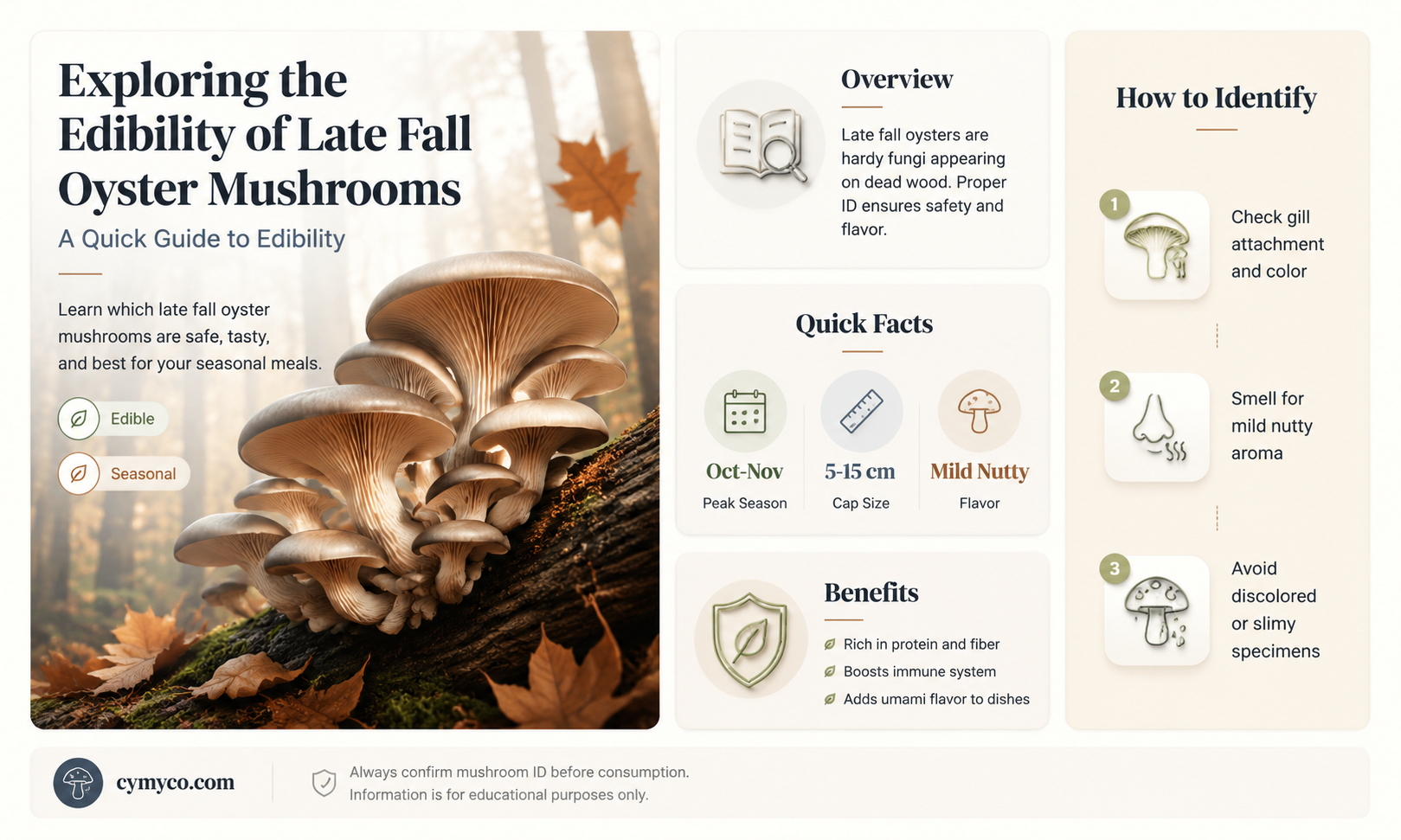 are late fall oyster mushrooms edible