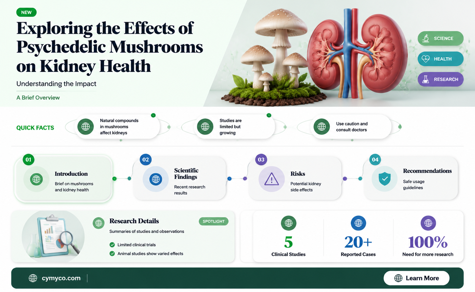 are psychedelic mushrooms bad for your kidneys