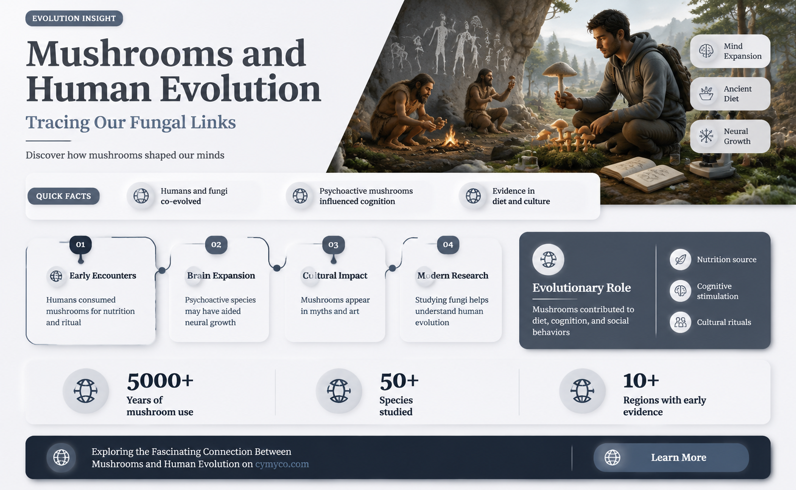 are mushrooms related to humans