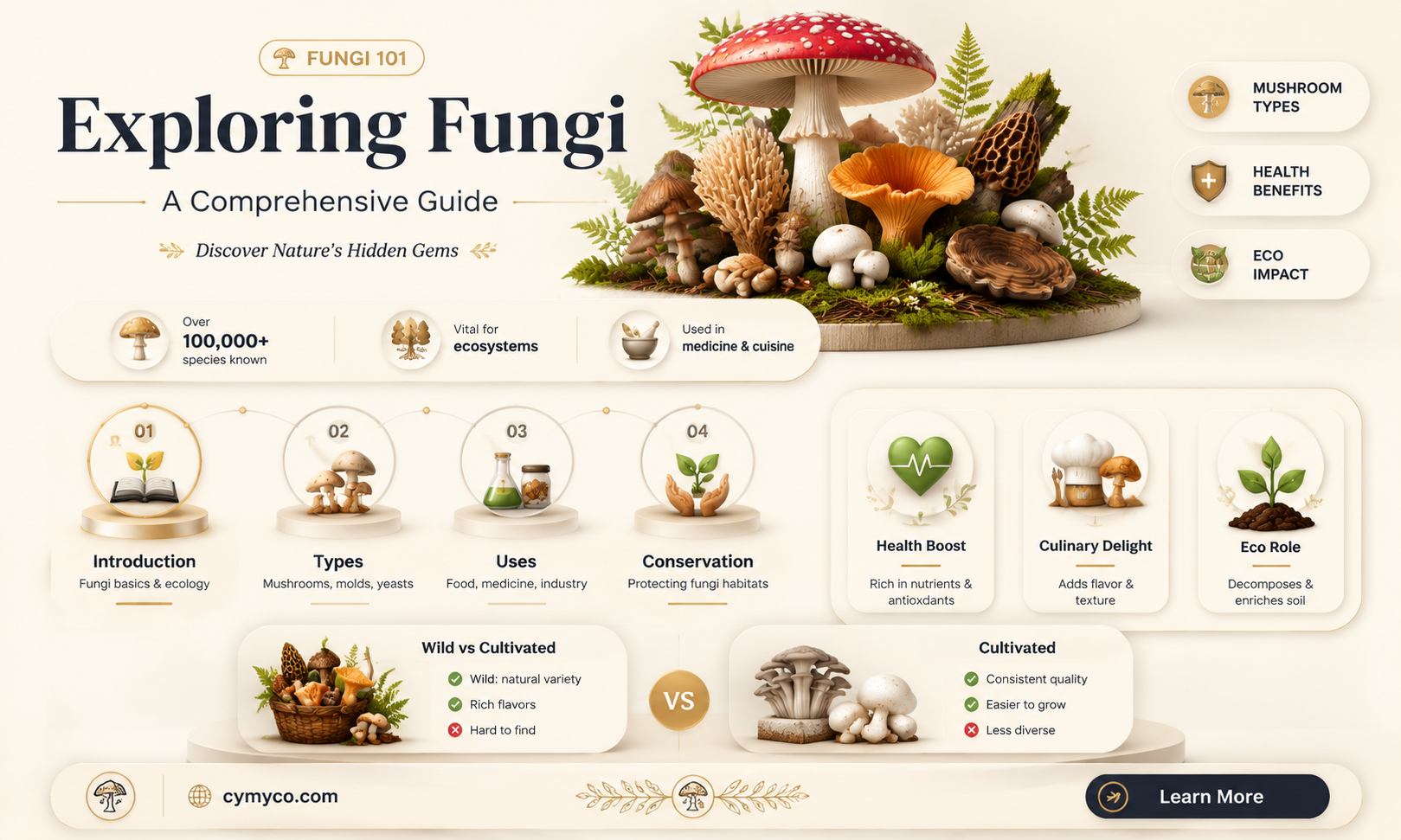 what is the domain of fungi