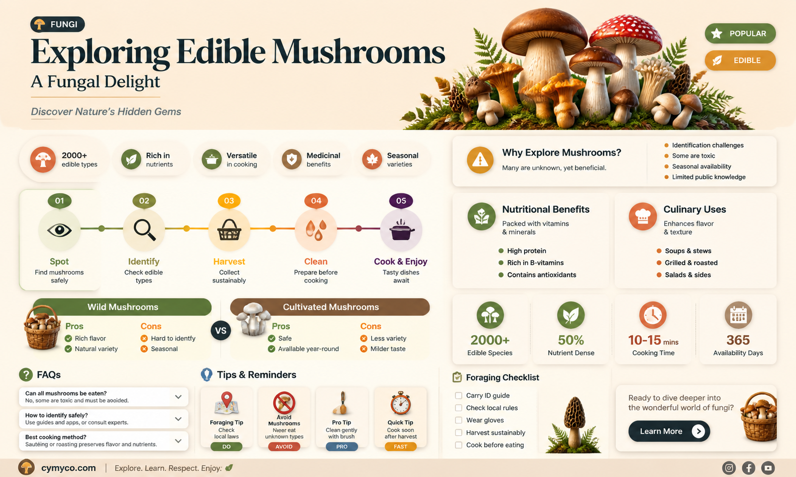 are edible mushrooms a fungus