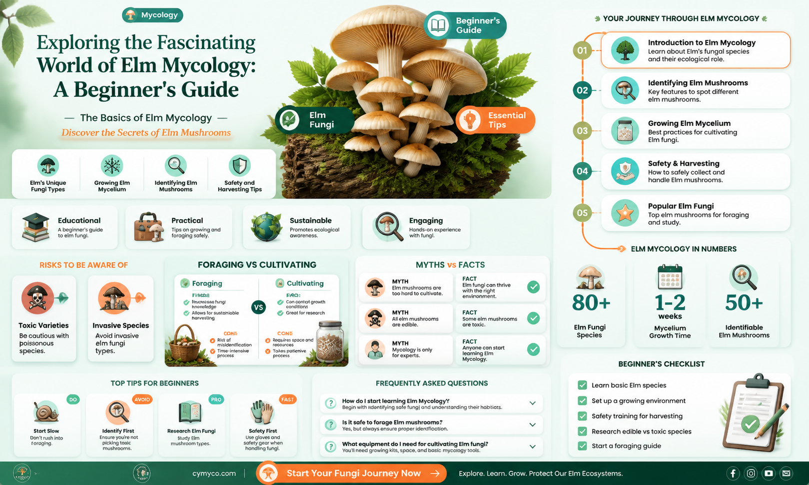what is elme mycology