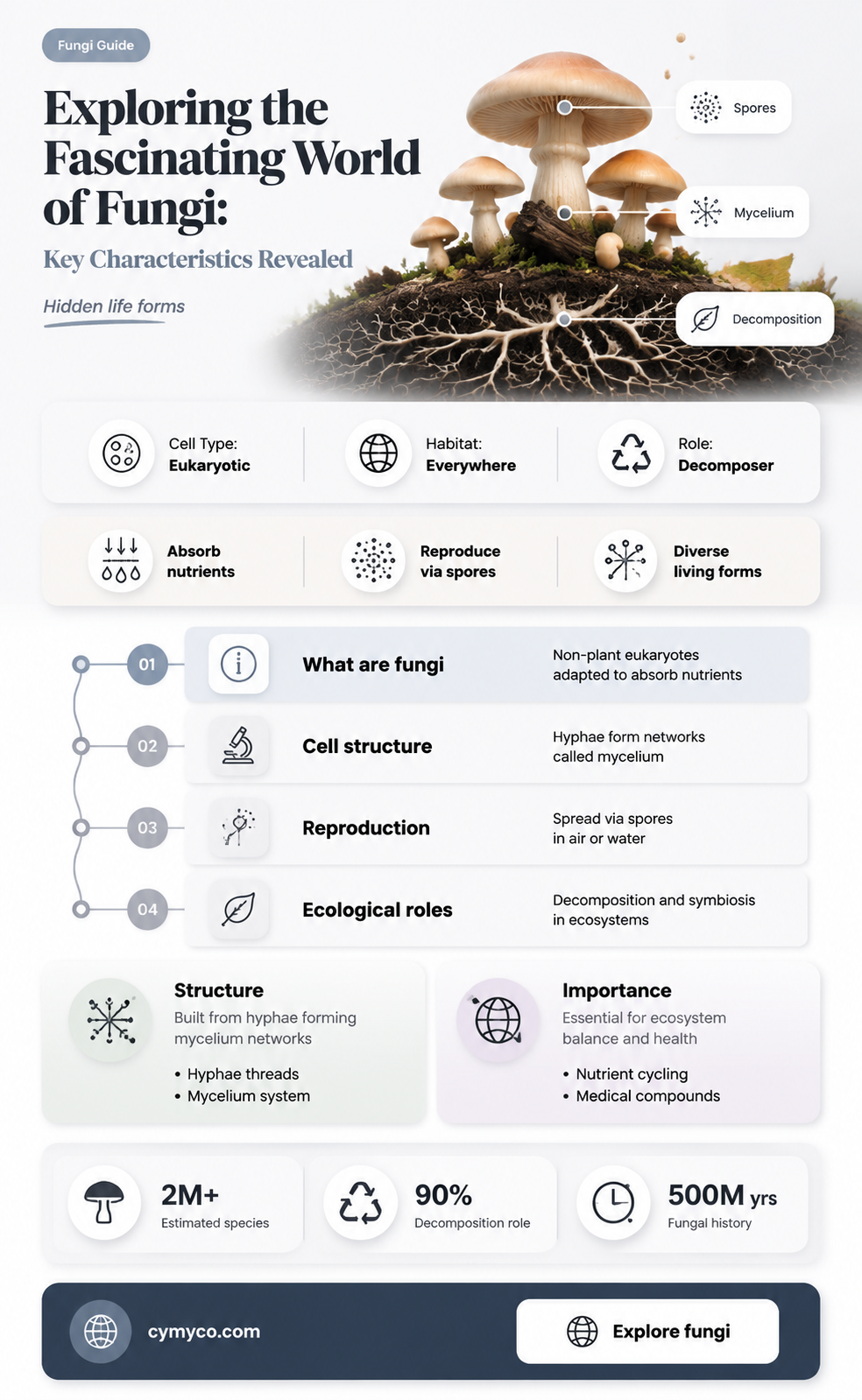 what are some characteristics of fungi