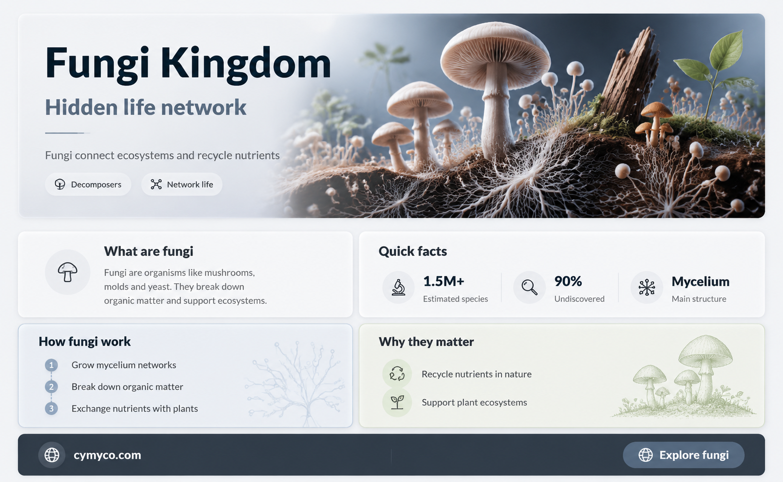 what is a fungi kingdom