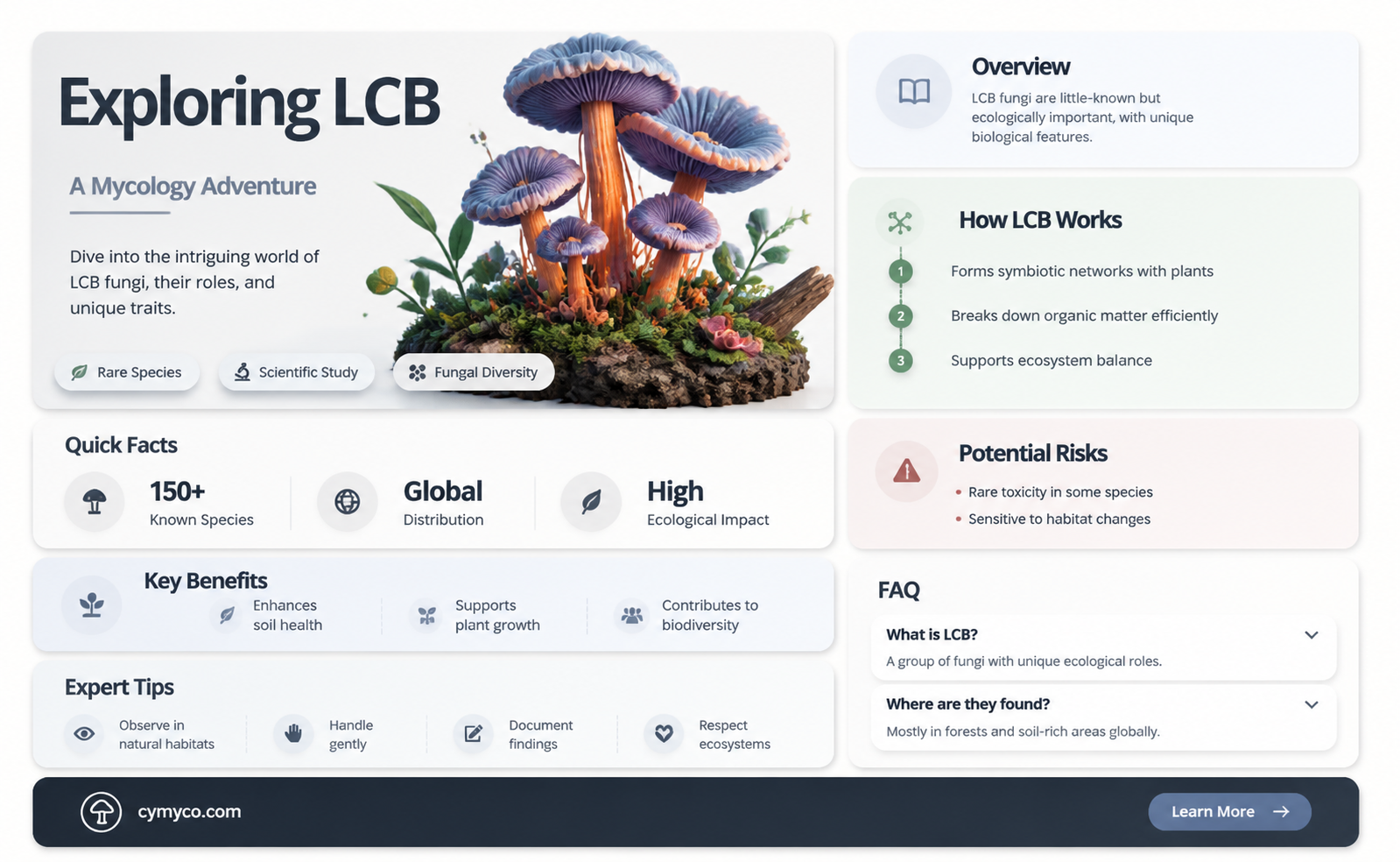 what is lcb in mycology