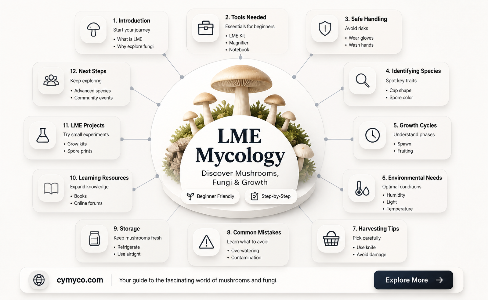 what is lme mycology