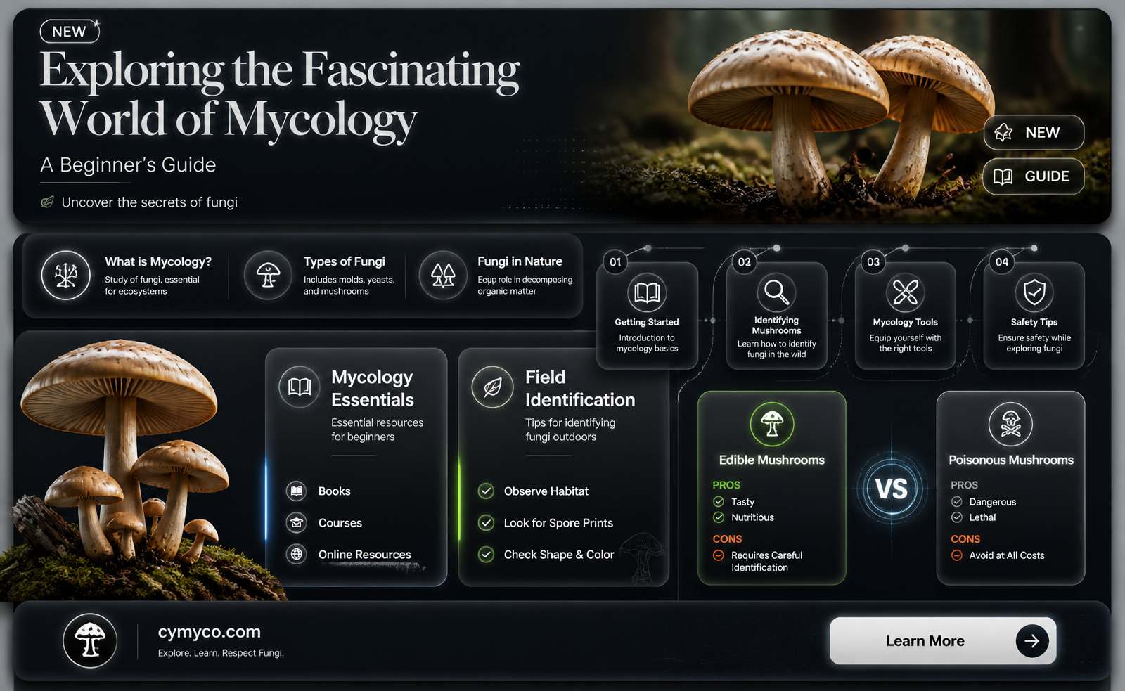 what is d meaning of mycology