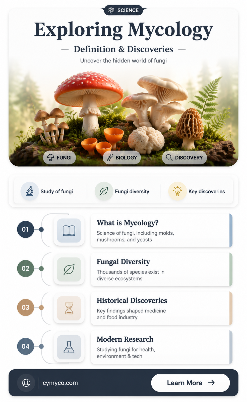 what is mycology definition
