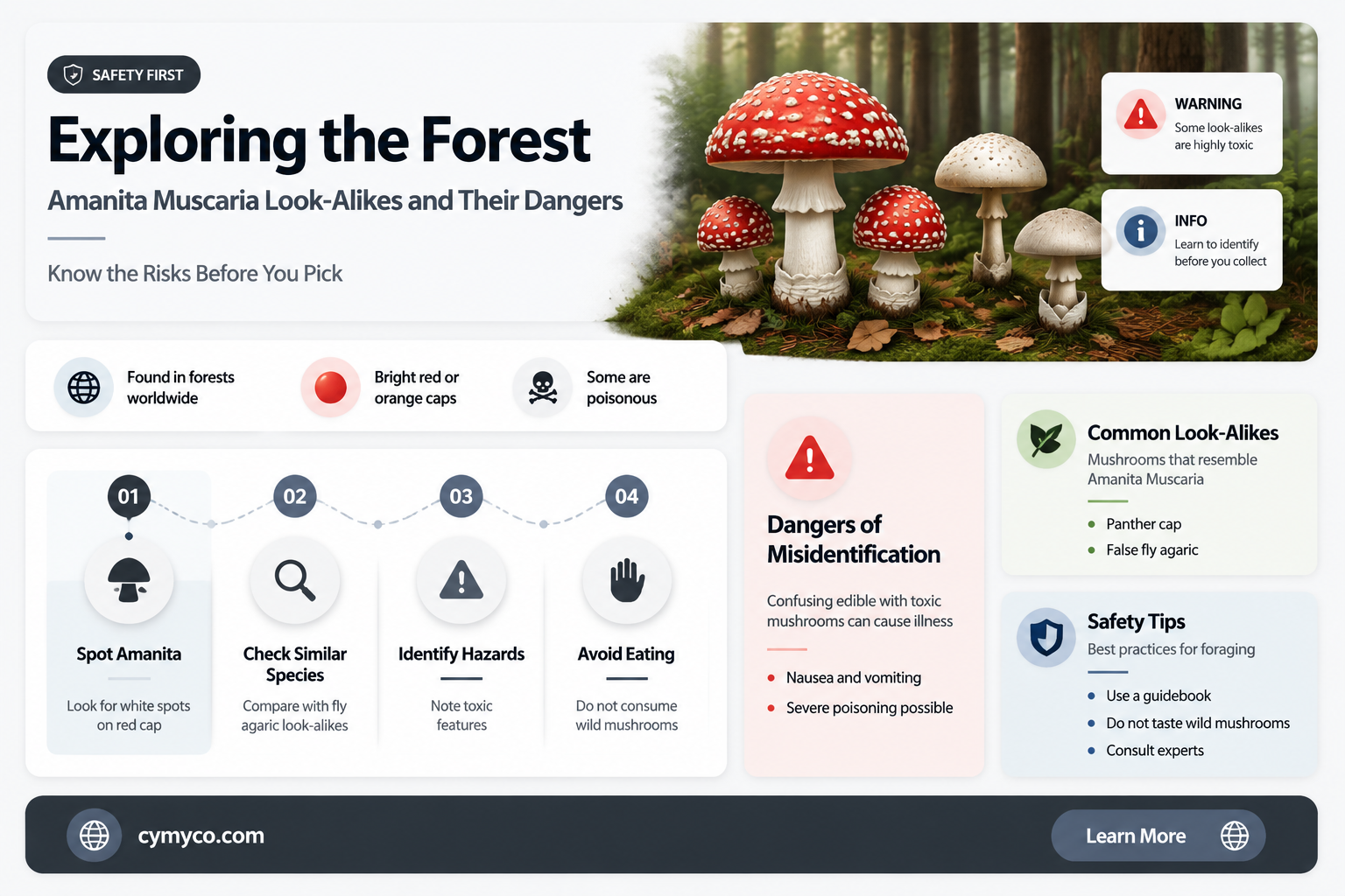 are there amanita muscaria look alikes