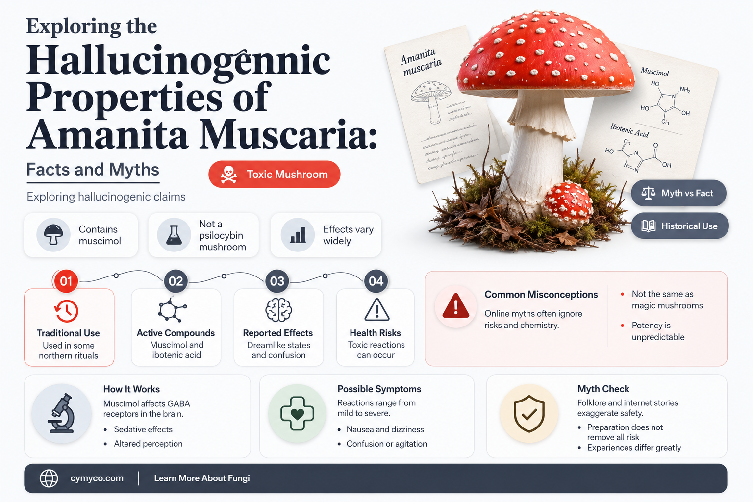 can amanita muscaria cause hallucinations