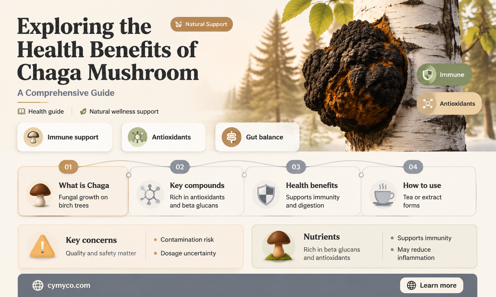 is chaga mushroom good for you