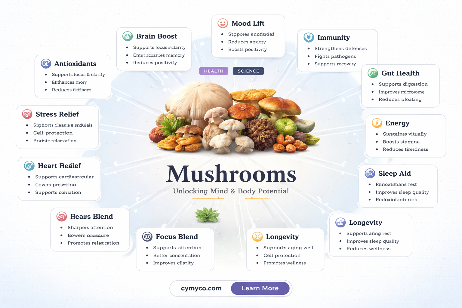 can mushrooms have lasting effects