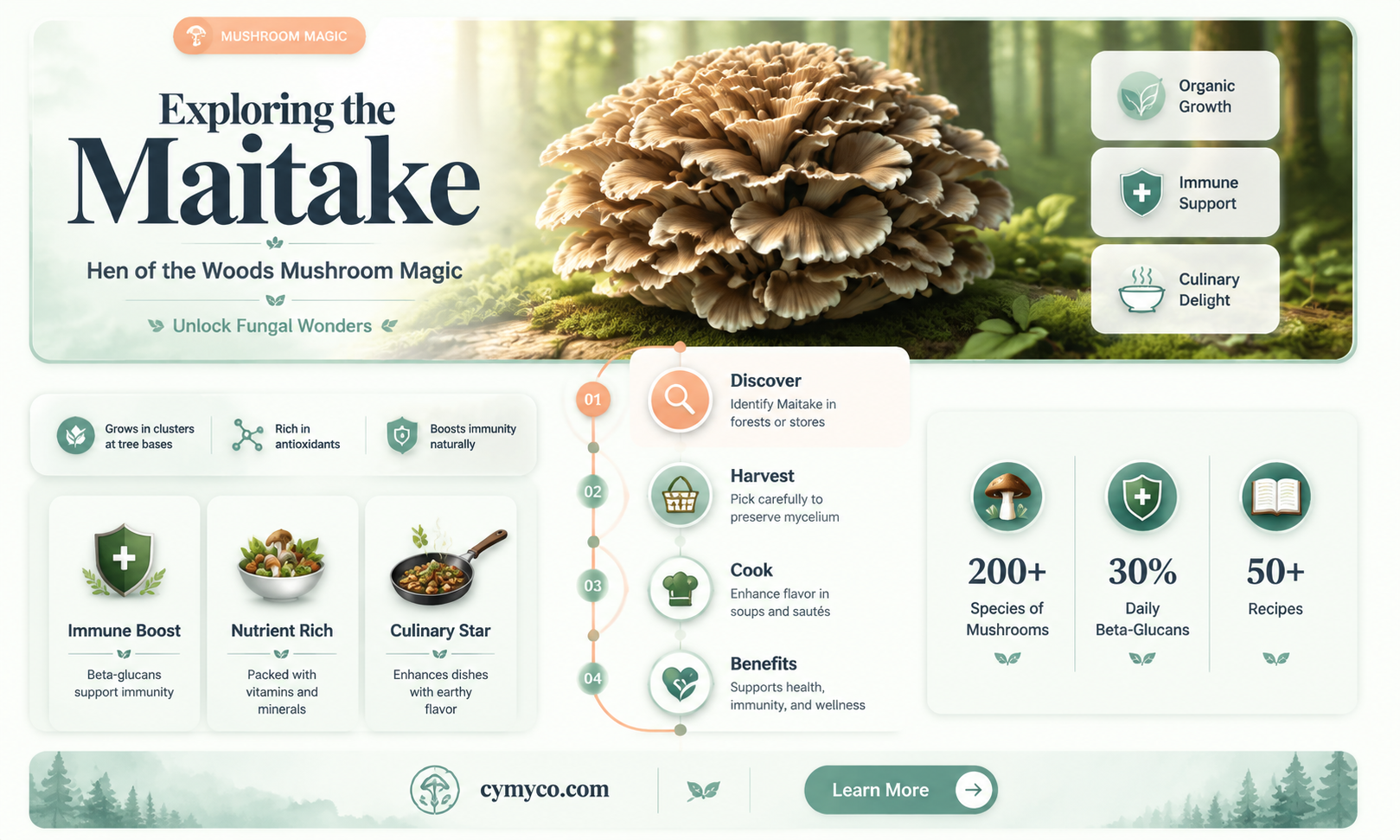 what is a maitake hen of the woods